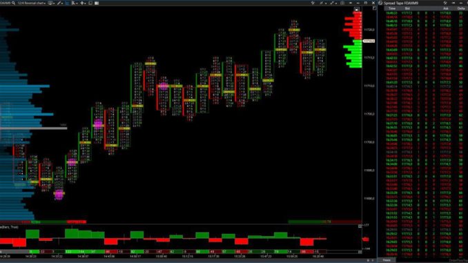 Order Flow Trading Español - Enric Jaimez