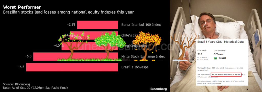 Invertir Brasil - Trading Brasil - Acciones Brasil
